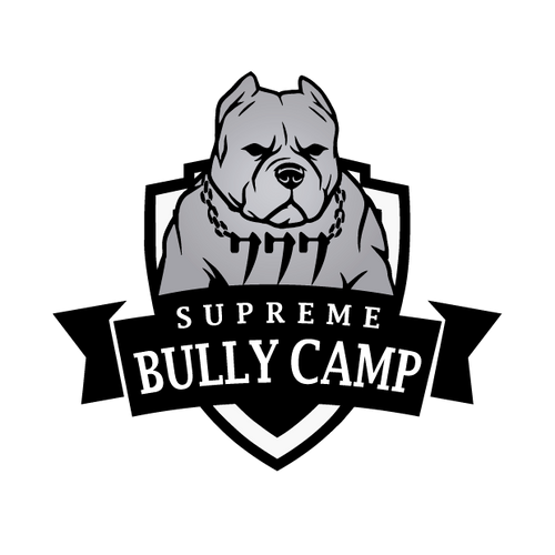 777supremebullycamp